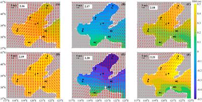 Winter and summer sedimentary dynamic process observations in the sea area off Qinhuangdao in the Bohai Sea, China